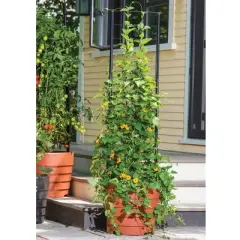 Vine Trellis for Victory Self-Watering Planter with Support System