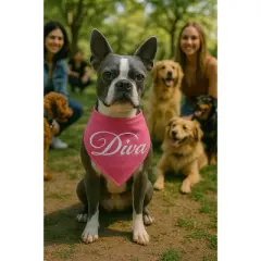 Parisian Pet 'Diva' Bandana for Dogs & Cats - Stylish, Comfortable, Pink Fashionable Dog Bandana, Trendy Pet Accessory