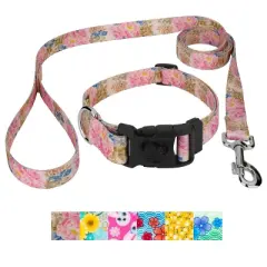 Country Brook Petz Deluxe Collar and Leash - Spring Collection