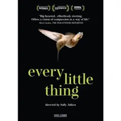 Every Little Thing (DVD)(2025)