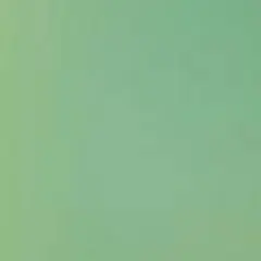 Flying Fisherman Last Cast Polarized Sunglasses