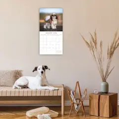 2026 Square Wall Calendar, Shih Tzu, 16-Month Animals Theme with 180 Reminder Stickers (12x12 In)