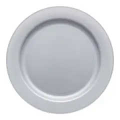 Smarty Had A Party 10" Steel Gray Plastic Dinner Plates - 120 pcs