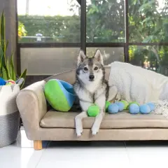 Midlee Hide a Ball Dog Toy - Blue/Green