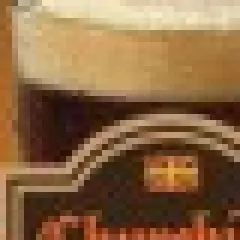 Mr. Beer Long Play IPA Craft Beer Making Kit: Home Brewing Kit with Keg & Instructions, 2 Gallon Capacity, Brown