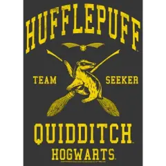 Boy's Harry Potter Hufflepuff Quidditch Seeker T-Shirt