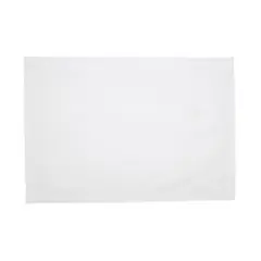 Saro Lifestyle Metallic Shimmer Placemat (Set of 4), 13"x19", Ivory