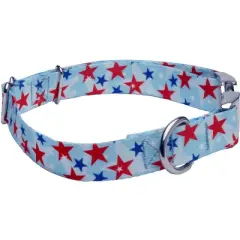 Country Brook Petz Premium Dog Collar - Americana Collection