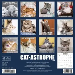 Willow Creek Press 2024 Wall Calendar 12"x12" Cat-Astrophe