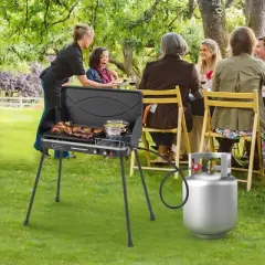 Costway 2-in-1 Propane Grill 2 Burner Camping Gas Stove Portable with Removable Leg Black