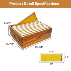 10 Frame Medium Super Bee Hive Box, Langstroth Honey Bee Hive Dipped in 100% Beeswax Include Beehive Frames and Wax Foundations for Beekeeping