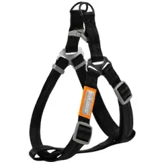Racxily 2-in-1 Durable Nylon Dog Harness and Leash, with Soft Padded Handle,Escape Proof and Quick Fit to Adjust Dog Harness