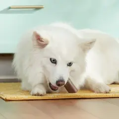 Rachael Ray Nutrish Soup Bones Real Turkey & Rice Chewy Dog Treats  - 23.1oz/11ct