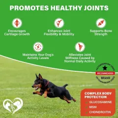 Beloved Pets Hip and Joint Soft Chews with Glucosamine Chondroitin MSM Turmeric Mobility Support for Dogs 10 Oz - 1 Pack