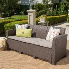 St. Paul Wicker Outdoor Patio Sofa - Christopher Knight Home
