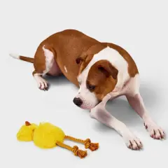 3.51" Emu Dog Rope Plush Toy - Boots & Barkley&trade; Yellow