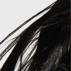 Adult Long and Sleek Black Halloween Costume Wig - Hyde and EEK! Boutique&trade;