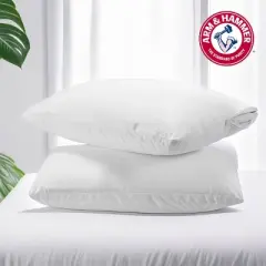 Arm & Hammer 2pk Easy Care Pillow Protector