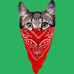 Women's Design By Humans Gangster Cat By clingcling Racerback Tank Top