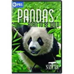 NATURE: Pandas - Born to Be Wild (DVD)