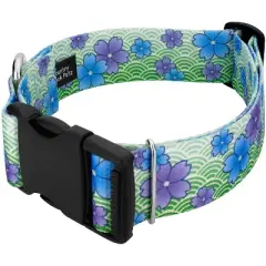 Country Brook Petz HossFit Jr Wide Deluxe Dog Collar - Spring Collection
