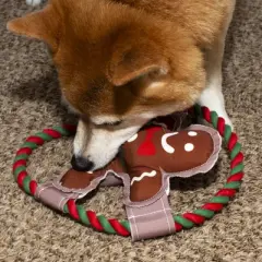 Pavilion Gift Company - Howl-iday Treat - 10" Canvas Dog Toy on Rope  - Pet Toy