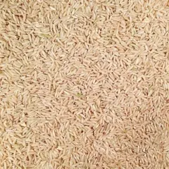 Grain Place Foods 25 lb Organic Long Grain Brown Rice