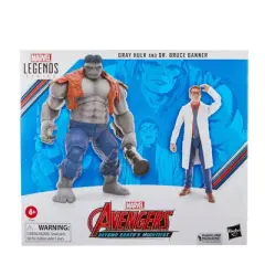 Marvel Avengers Legends Gray Hulk and Dr. Bruce Banner Action Figure Set - 2pk