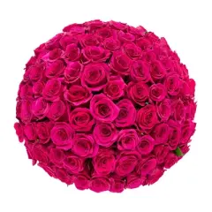 Fresh Cut 100-stem Hot Pink Rose Bouquet