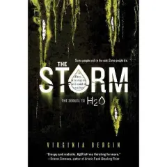 Storm 10/04/2016 - by Virginia Bergin (Paperback)