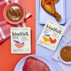 Cat Chicken and Tuna Flavor Wet Cat Treats - 14oz - Kindfull&trade;