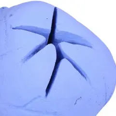 Barton Living Imitated Human Skull Ceramic Indoor or Outdoor Skull Gas Log for Blue