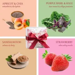 Freida & Joe Aromatherapy Fragrances 4 Pieces Bath Bomb Gift Set