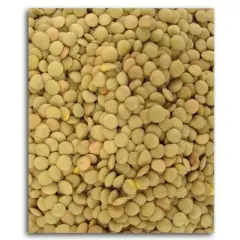 Grain Millers Organic French Lentil Beans - 25 lb