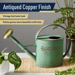 Kings County Tools Copper-Plated 1Gal Watering Can