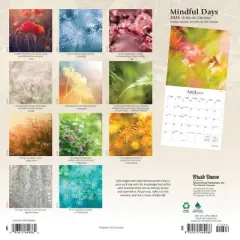 Brush Dance 2024 Wall Calendar 12"x12" Mindful Days