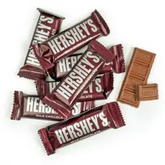 44 Pcs Bulk Christmas Candy Hershey's Snack Size Chocolate Bar Party Favors (19.8 oz, Approx. 44 Pcs) - Happy Holidays