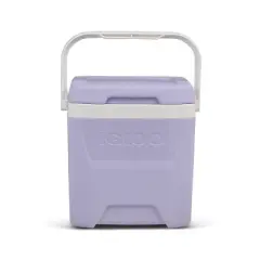 Igloo 18 Cans/12qt Hard-Sided Coolers