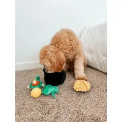 Midlee Hide-A-Toy Pot of Gold St. Patrick's Day Dog Toy