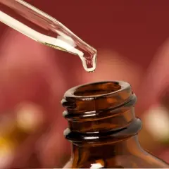 Air Wick Essential Scented Oil Twin Refill - Brown Sugar & Vanilla - 1.34 fl oz/2ct