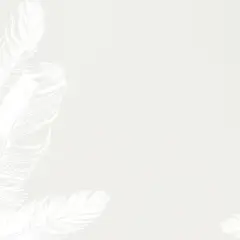 80ct Soft Feathers Letterhead Gray