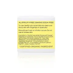 Little Seed Farm All-Natural Deodorant Cream (2.4 oz) | Aluminum-Free, Grapefruit Lemon Deodorant for Women & Men