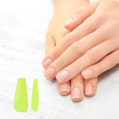 Unique Bargains Women's Beautiful Fake Nails Multicolored 240-pieces Per Set