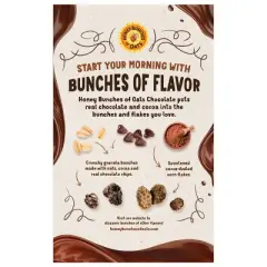 Honey Bunches of Oats Chocolate Cereal - 18oz
