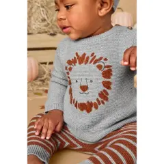 Carter's Just One You&reg;️ Baby Boys' 3pc Lion Sweater & Bottom Set - Gray