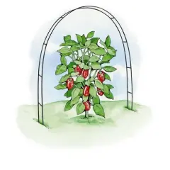 Gardeners Supply Company Garden Hoops Grow Tunnel Support | Greenhouse Raised Garden Bed Fabric Row Cover Arch Frame, Garden Stakes For Plants &