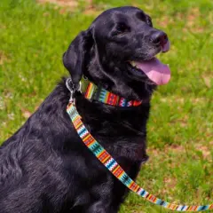 Country Brook Petz Premium Summer Pines Dog Collar and Leash