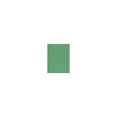 LUX Paper 11" x 17" Holiday Green 250 Qty (1117-P-L17-250)