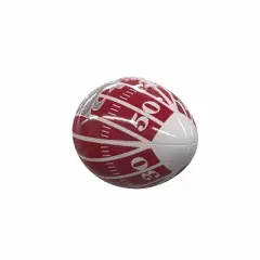 NCAA Washington State Cougars Field Mini-Size Glossy Football