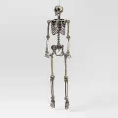 60" Poseable Skeleton Halloween Decorative Prop Shiny Champagne with Weathered Finish - Hyde and EEK! Boutique&trade;